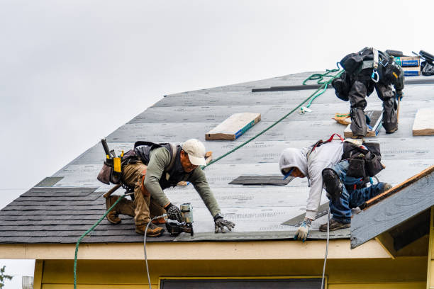 Professional Roofing technician working in Preston, TX